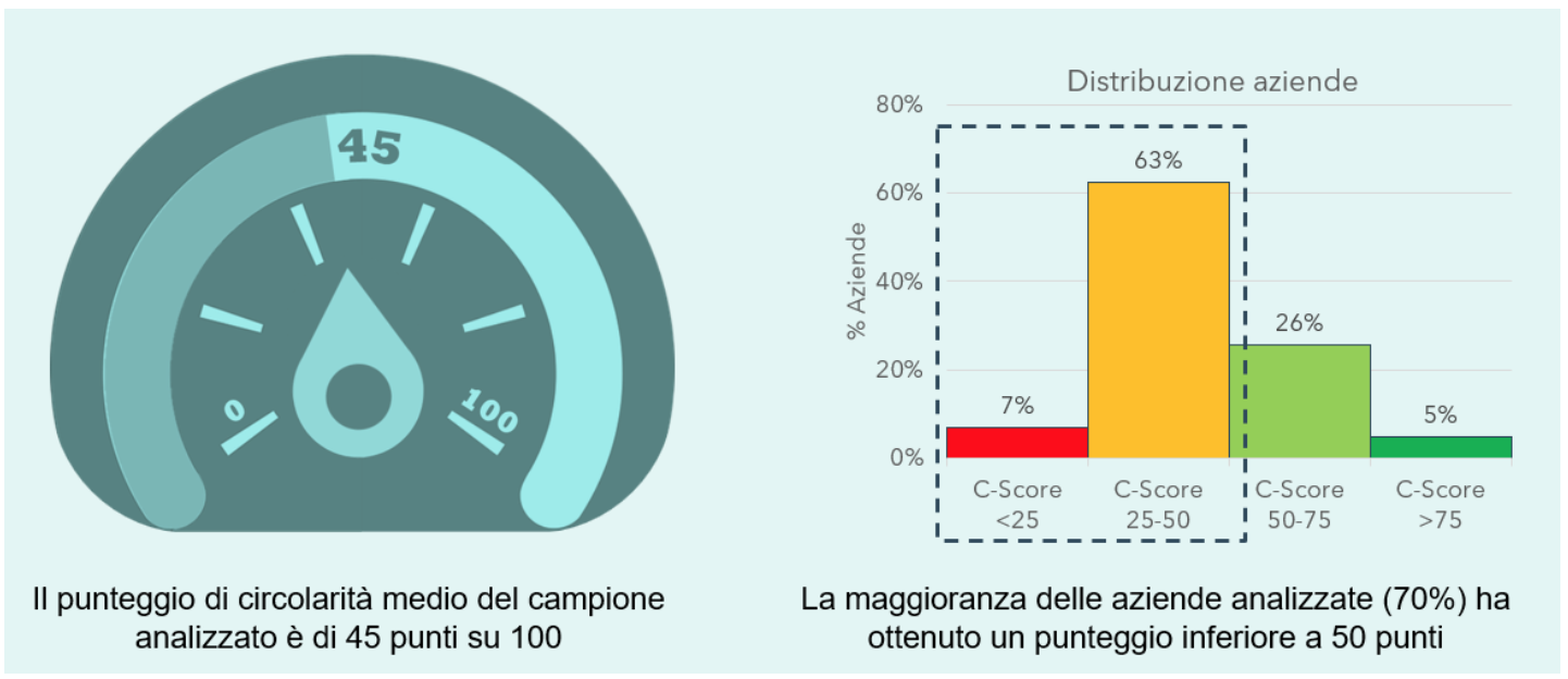RISE - indice di sostenibilità.png