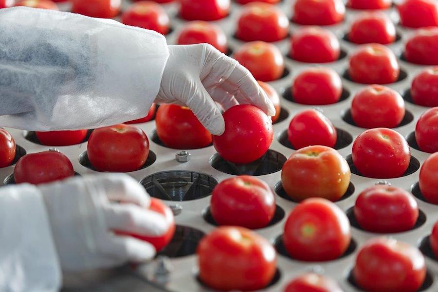 TÜV SÜD MOCA produzione copia