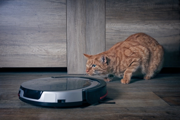 Aspirapolvere (2): fra scope senza filo e robot