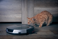 Aspirapolvere (2): fra scope senza filo e robot