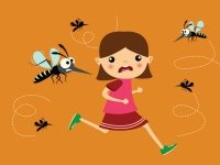 Difendersi dalle zanzare si pu&ograve;: ecco come