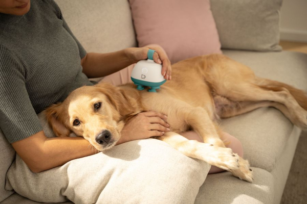 Beurer, una linea dedicata agli animali domestici