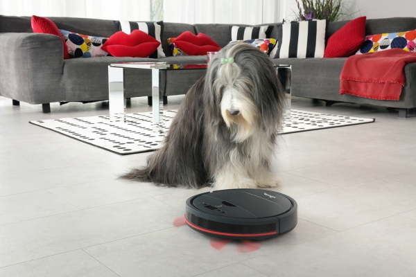 Vileda, e il pelo di Fido sparisce