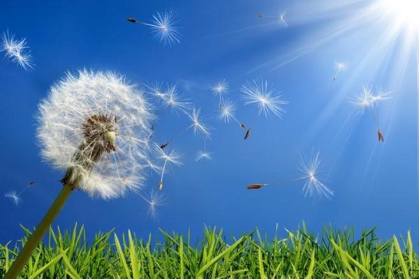 &Egrave; primavera: benvenute allergie!