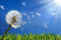 &Egrave; primavera: benvenute allergie!