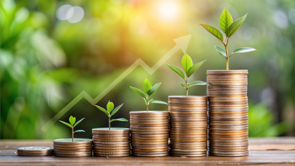 Quello che resta del bonus