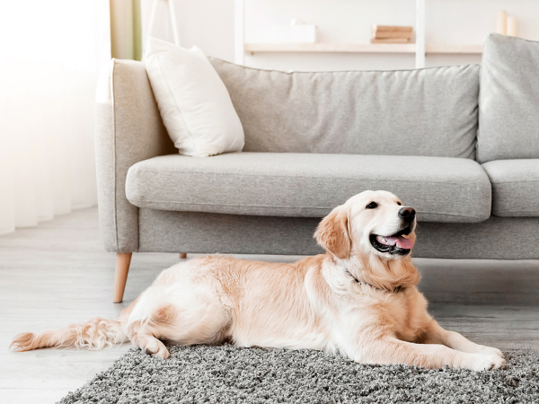 SPECIALE FLOOR CARE - Semplici e multifunzione contro lo sporco