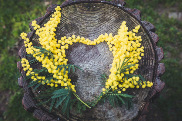 Pochi sanno cos&rsquo;&egrave; l&rsquo;economia circolare