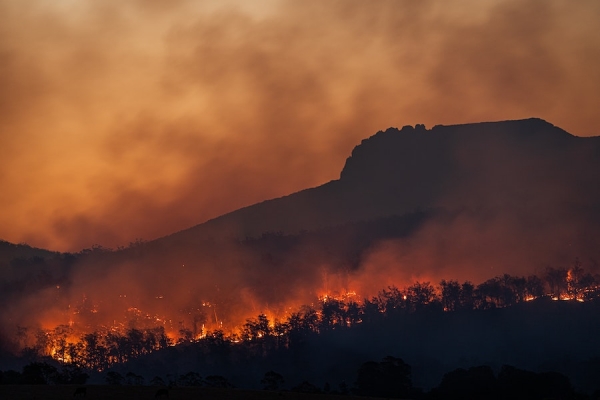 Sicilia devastata dagli incendi: ci arriva una richiesta di aiuto
